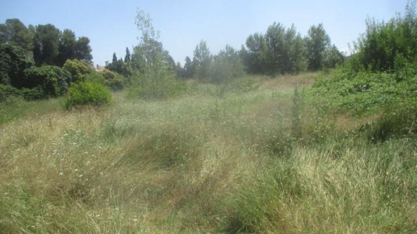 Terreno en venta en calle Beato Jacinto Orfanell, Nº 23 A