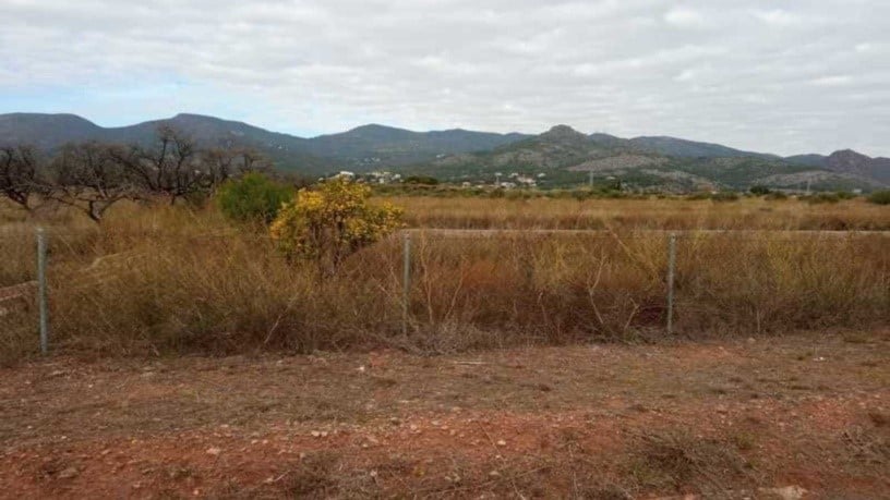 Developable land for sale in avda Gran Avinguda Jaume I