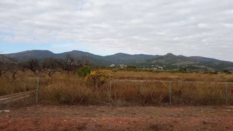 Developable land for sale in avda Gran Avinguda Jaume I