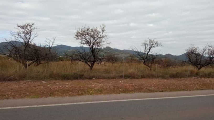 Developable land for sale in avda Gran Avinguda Jaume I