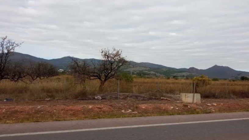 Developable land for sale in avda Gran Avinguda Jaume I