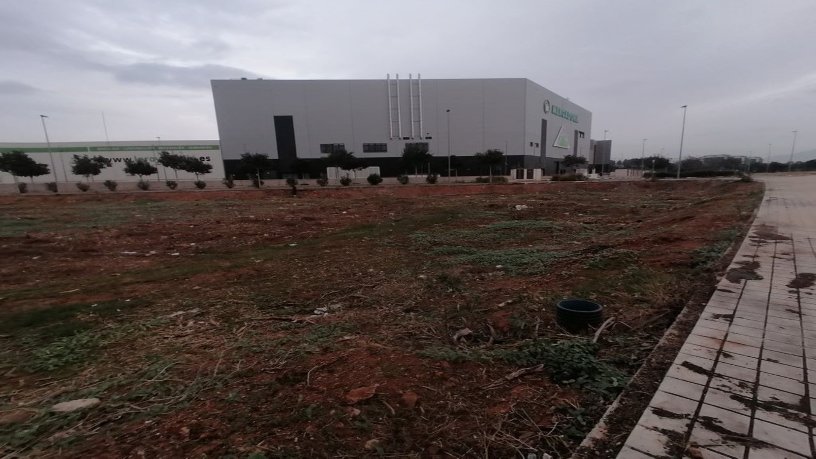 Terreno urbano en venta en avda Enrique Gimeno