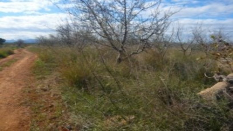 Finca rústica en venta en  Paraje Baldomet