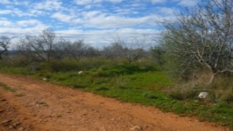 Finca rústica en venta en  Paraje Castellnou