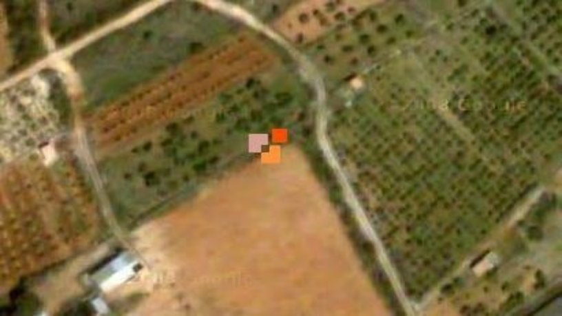 Finca rústica en venta en  Paraje Castellnou
