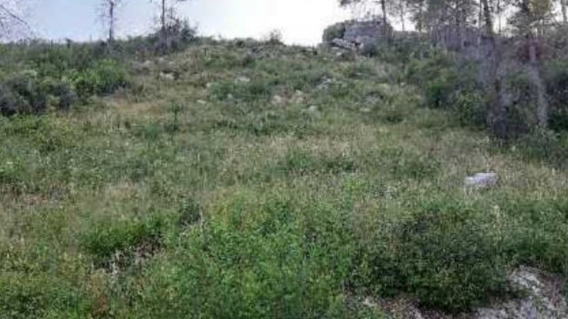Terreno urbano en Urbanización la Vall D'aigues Vives, Carcaixent, Valencia