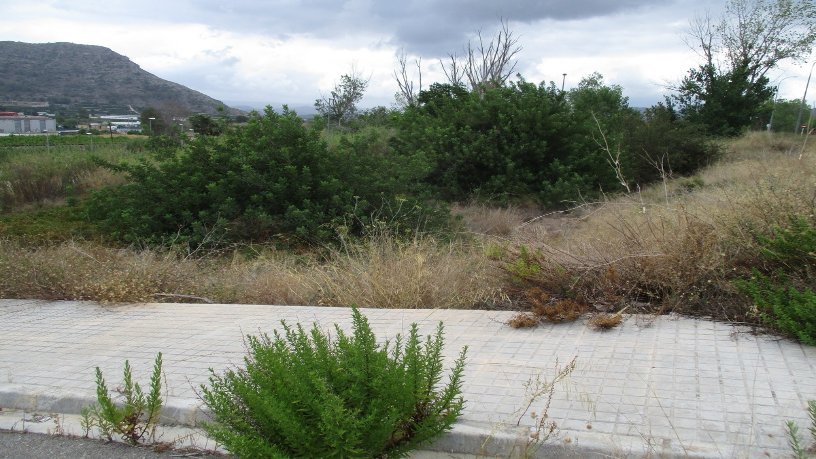 Terrain urbain à vendre à calle Genoves