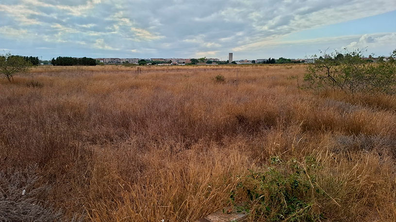 Rustic property for sale in ptda San Joaquin