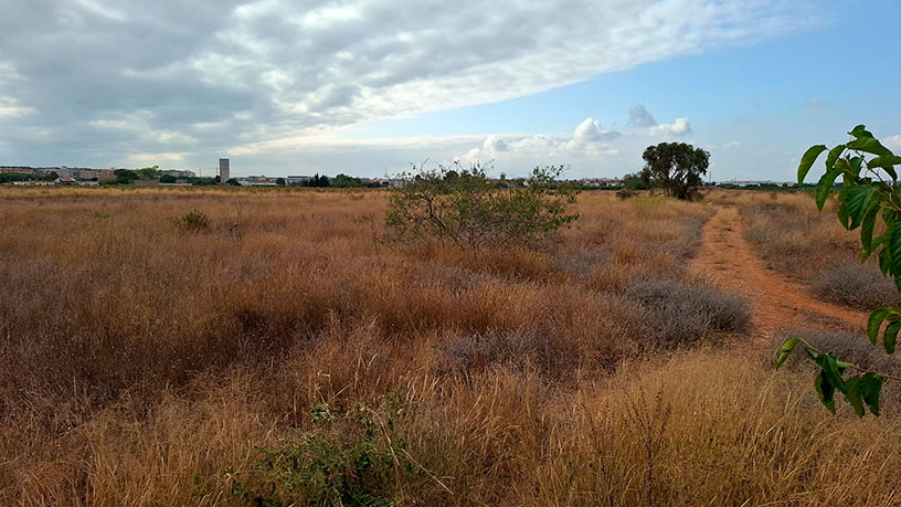 Rustic property for sale in ptda San Joaquin