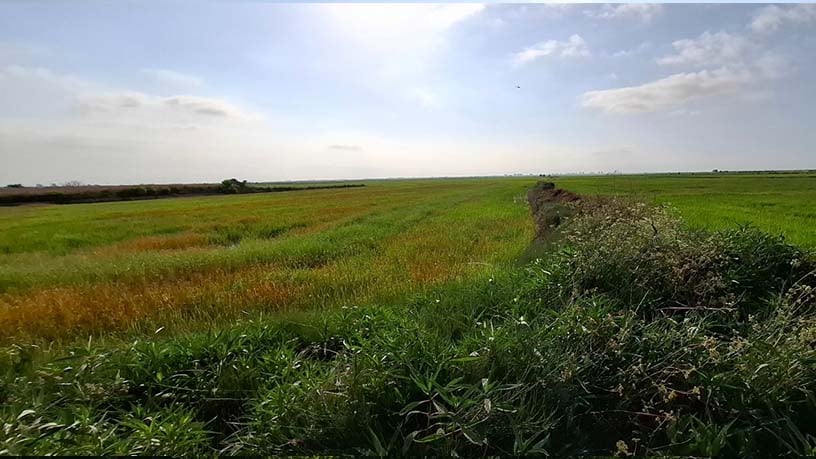 Finca rústica en venta en lugar El Alter Pol. 7