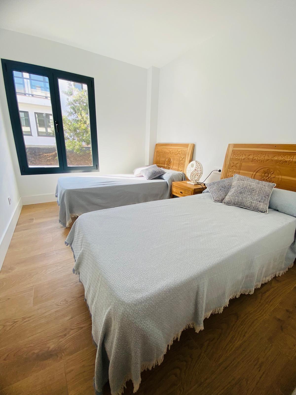 Promoción de obra nueva, , Oliva (la)