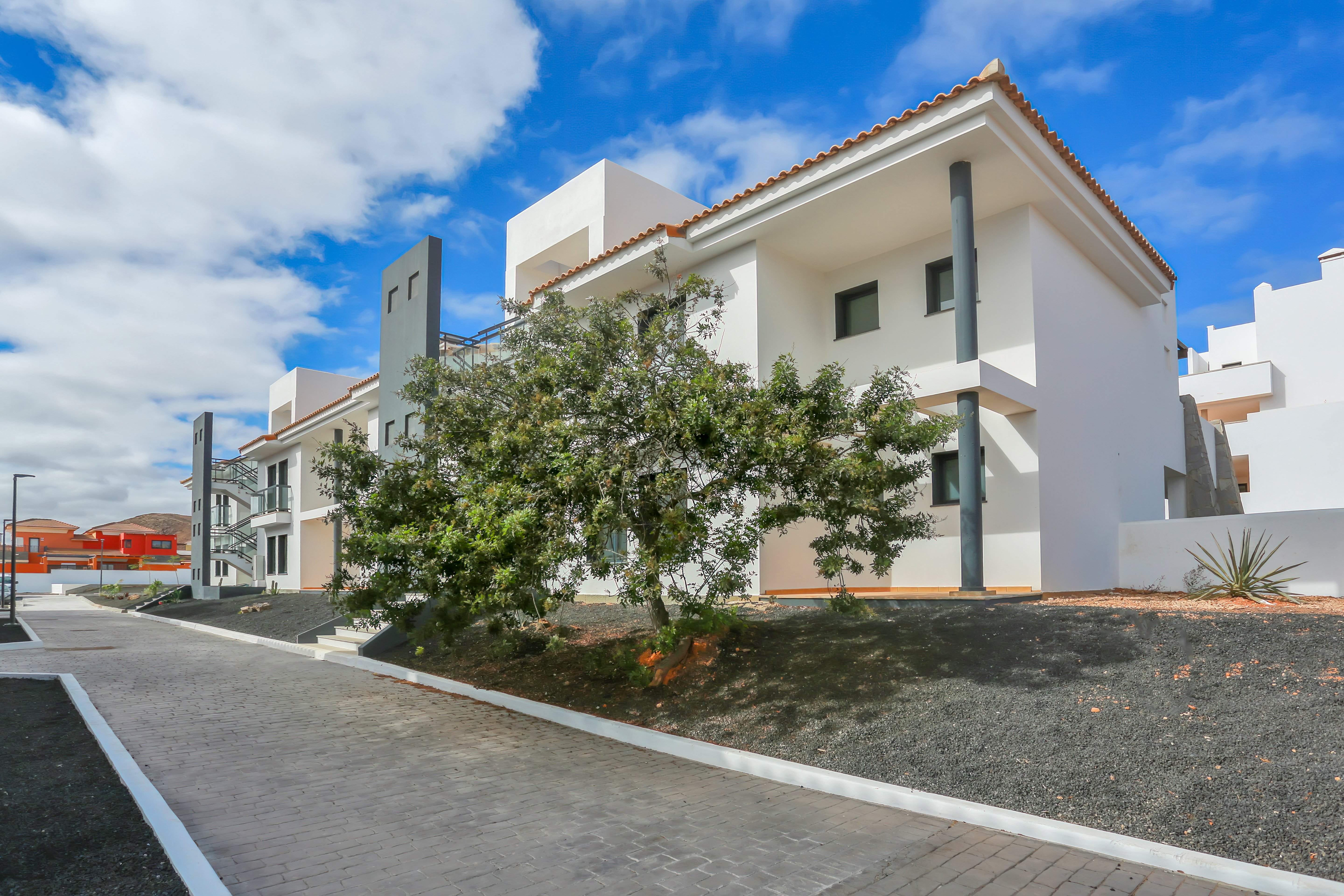 Promoción de obra nueva, , Oliva (la)