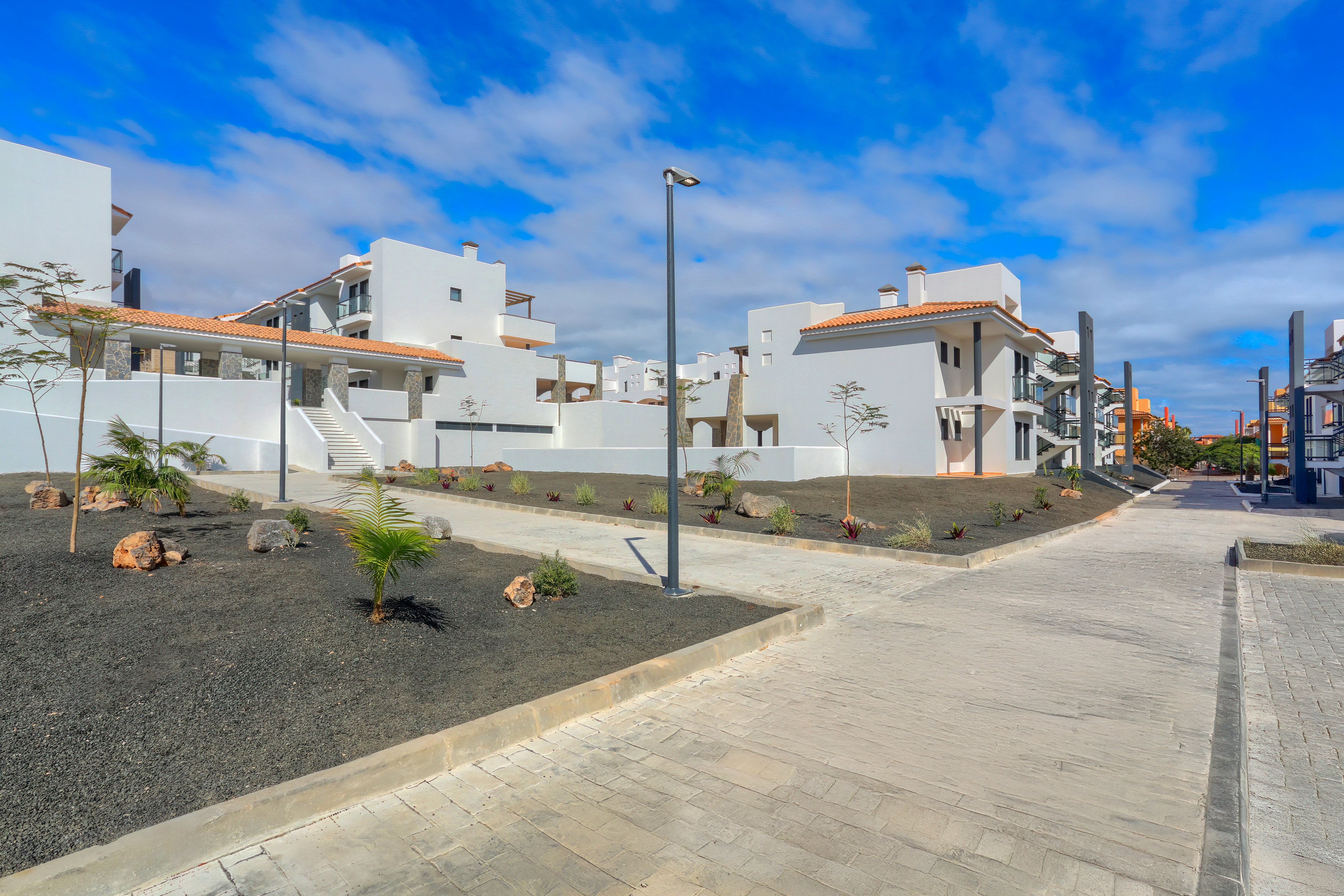 Promoción de obra nueva, , Oliva (la)