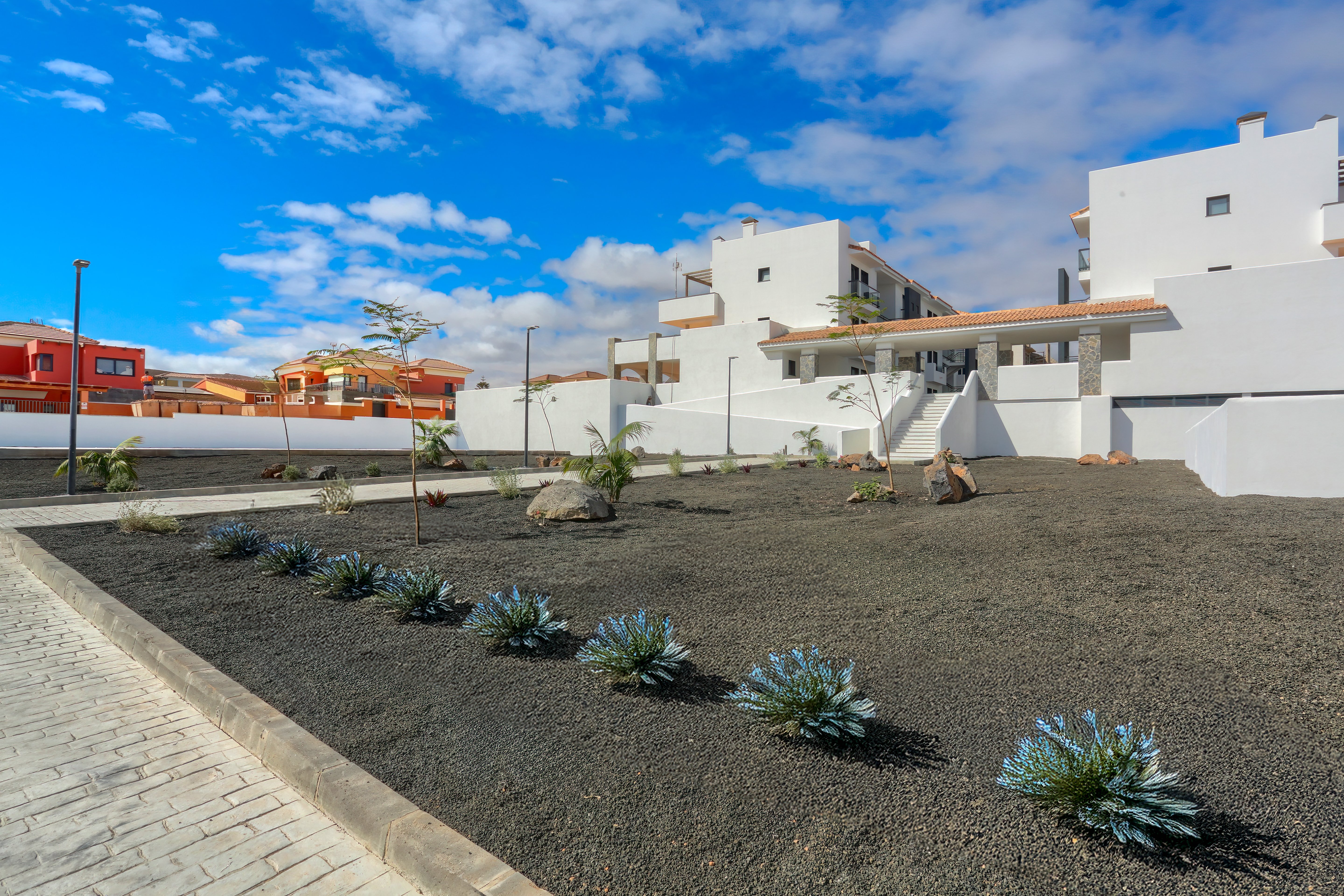 Promoción de obra nueva, , Oliva (la)