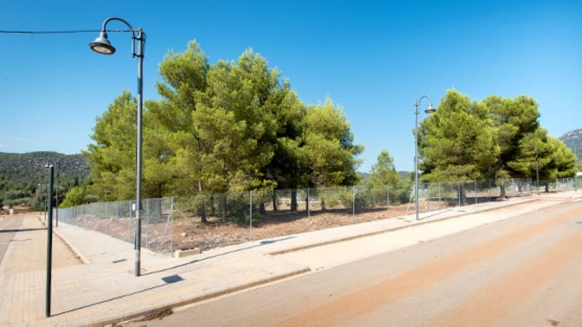 Promoción de Terrenos, 6, Mas del Pi, Sant Joan de Moró