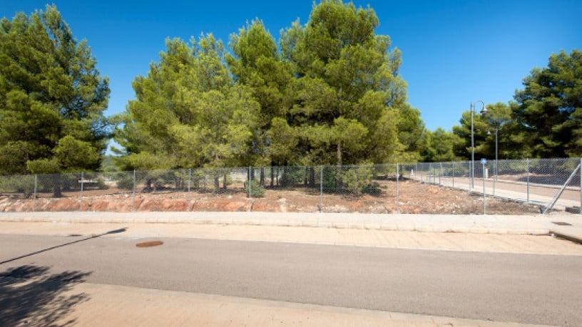 Promoción de Terrenos, 6, Mas del Pi, Sant Joan de Moró