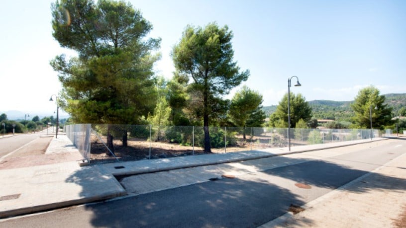 Promoción de Terrenos, 6, Mas del Pi, Sant Joan de Moró