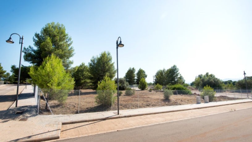 Promoción de Terrenos, 6, Mas del Pi, Sant Joan de Moró