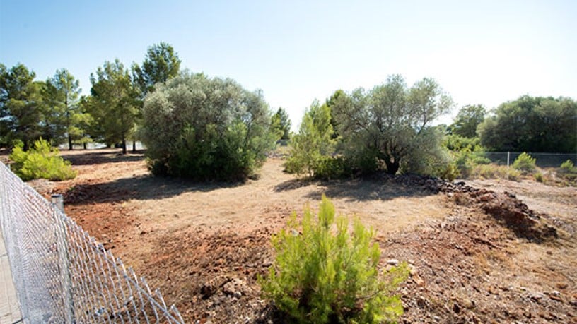 Promoción de Terrenos, 6, Mas del Pi, Sant Joan de Moró