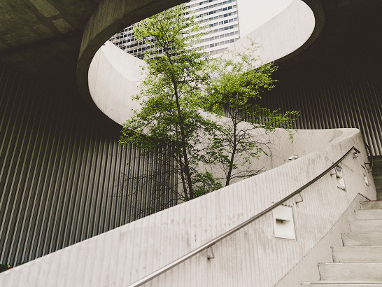 Energy and urban rehabilitation