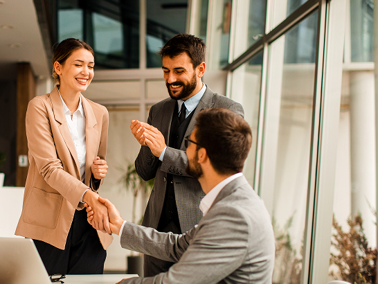 Comprehensive support to the institutional investor