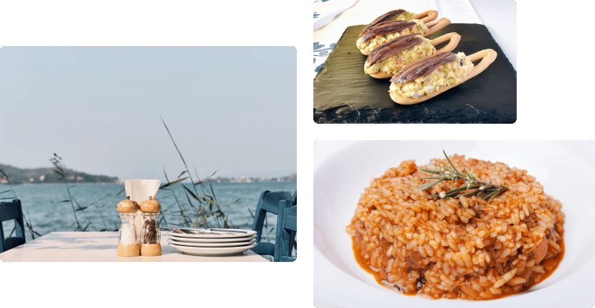 Gastronomy