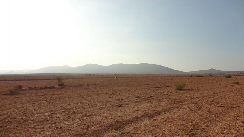 Finca rústica en venta en  Balsa Blanca