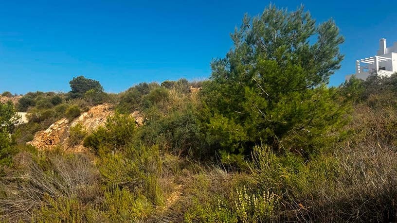 Terreno urbano en venta en ctra El Pinar