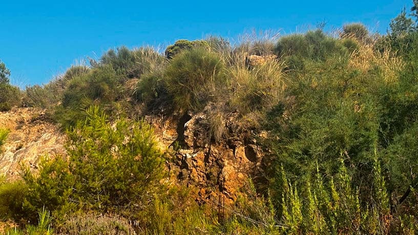 Terreno urbano en venta en ctra El Pinar