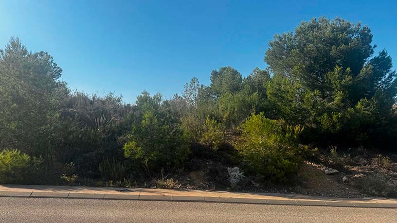 Terreno urbano en venta en ctra El Pinar