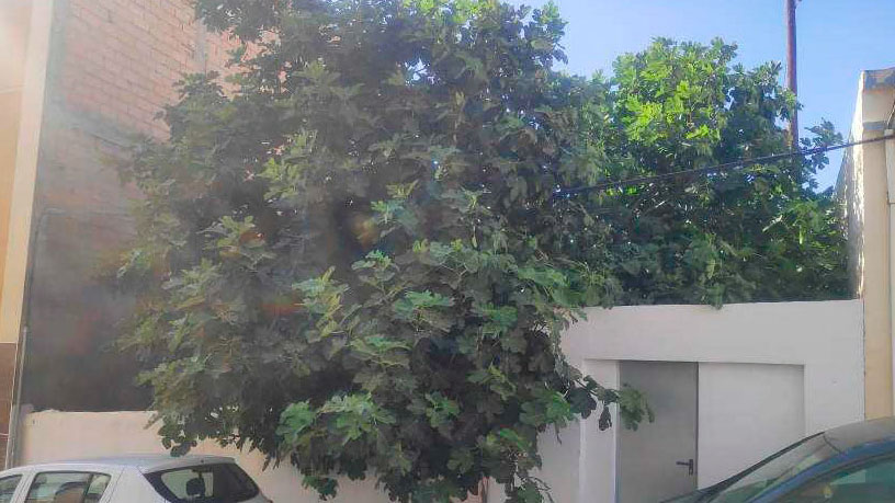 Terreno urbano en calle San Pedro, Viator, AlmerĆa