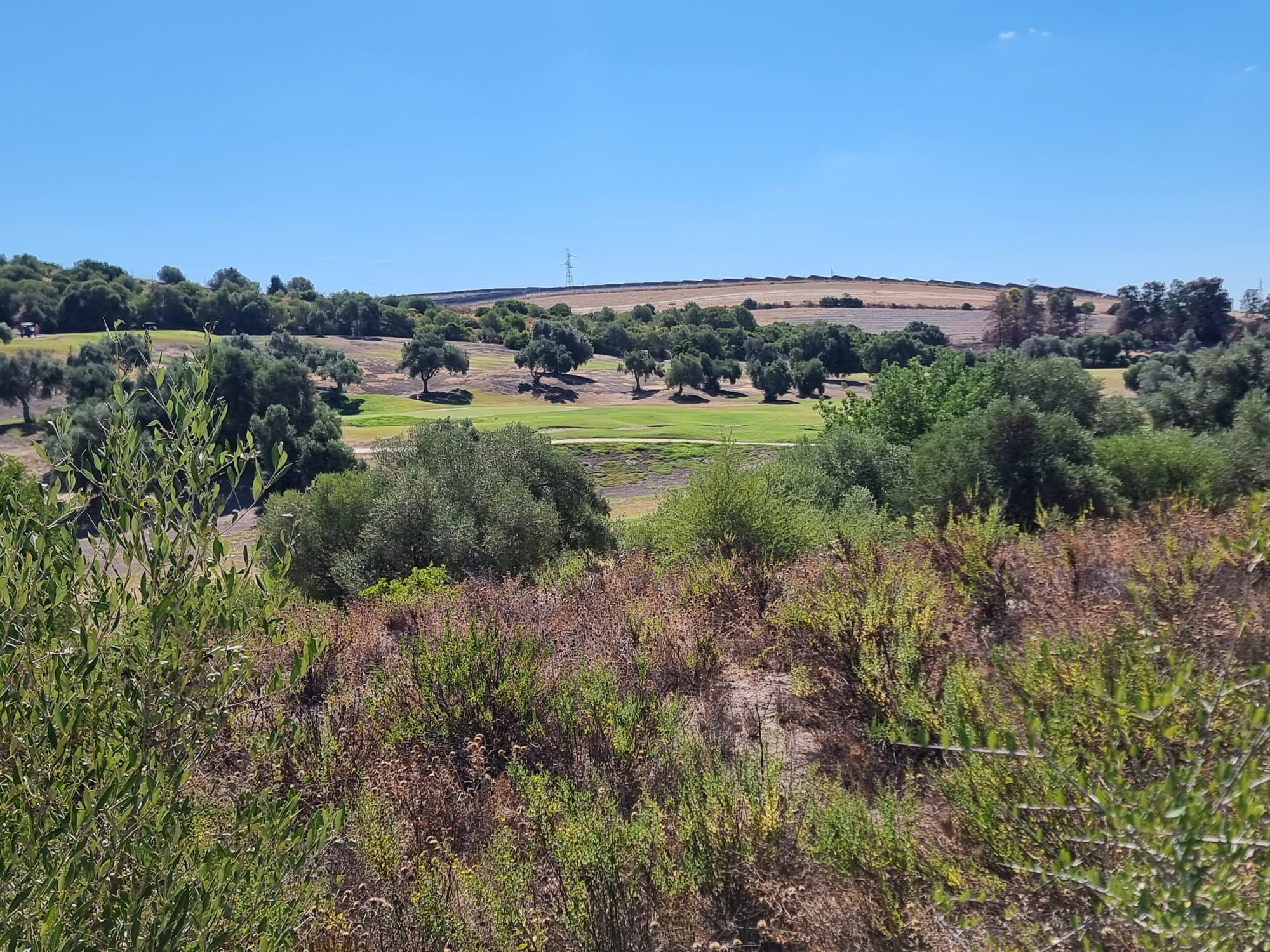 Terreno urbano en venta en urb Montecastillo los Garciagos