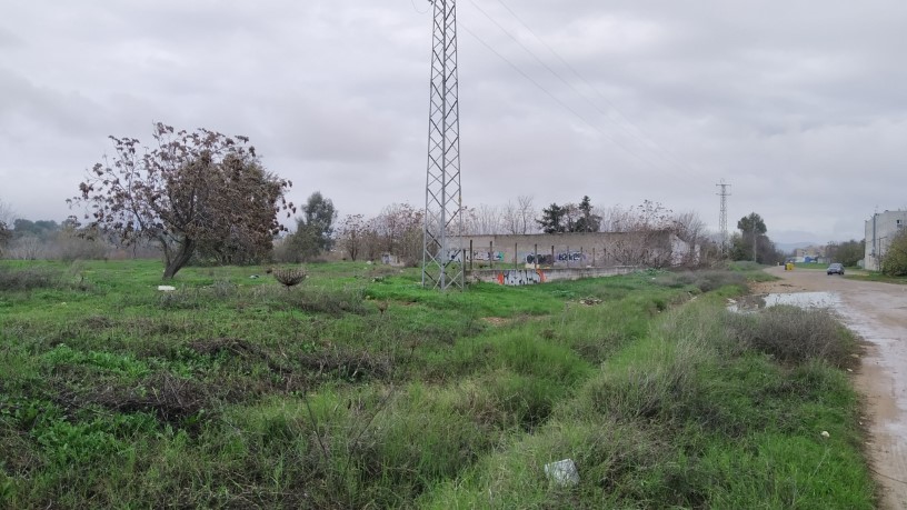 Developable land for sale in sect Plan Parcial S-1 Cordel de Ecija