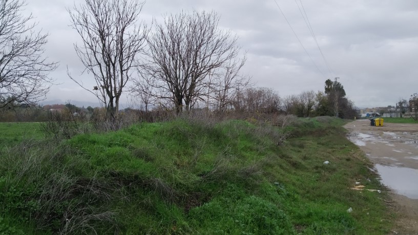 Developable land for sale in sect Plan Parcial S-1 Cordel de Ecija