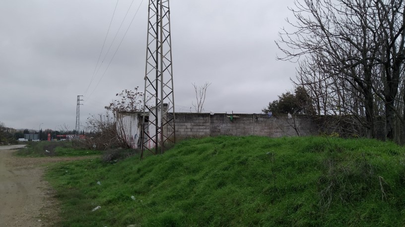 Developable land for sale in sect Plan Parcial S-1 Cordel de Ecija