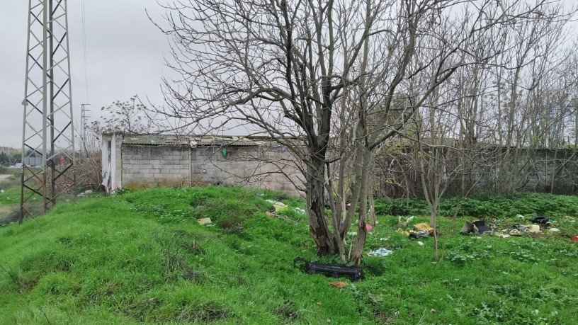 Developable land for sale in sect Plan Parcial S-1 Cordel de Ecija