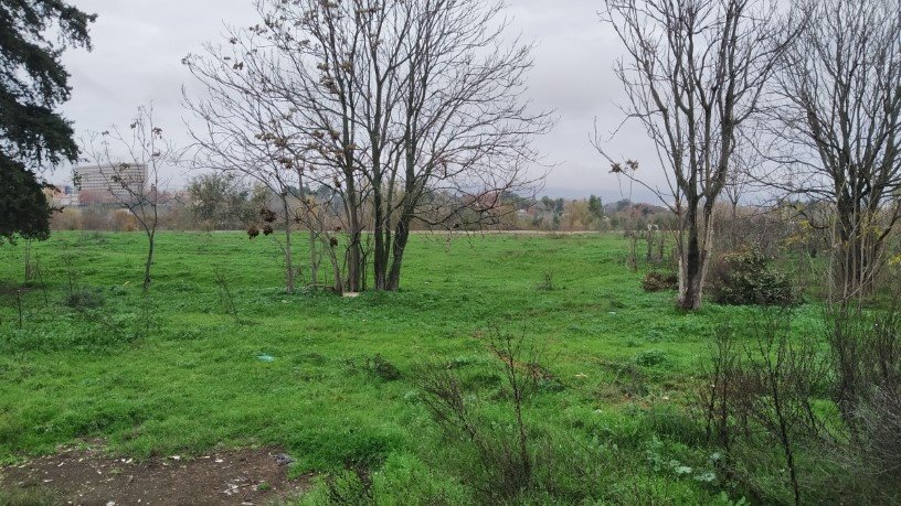 Developable land for sale in sect Plan Parcial S-1 Cordel de Ecija