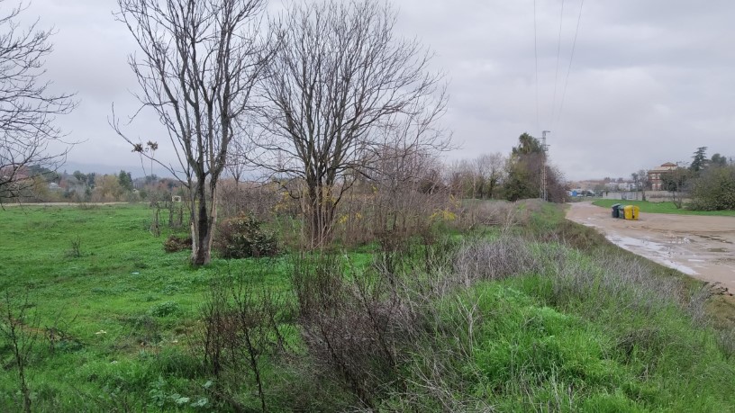 Developable land for sale in sect Plan Parcial S-1 Cordel de Ecija