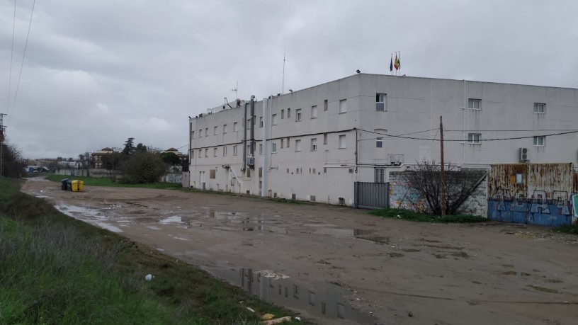 Developable land for sale in sect Plan Parcial S-1 Cordel de Ecija