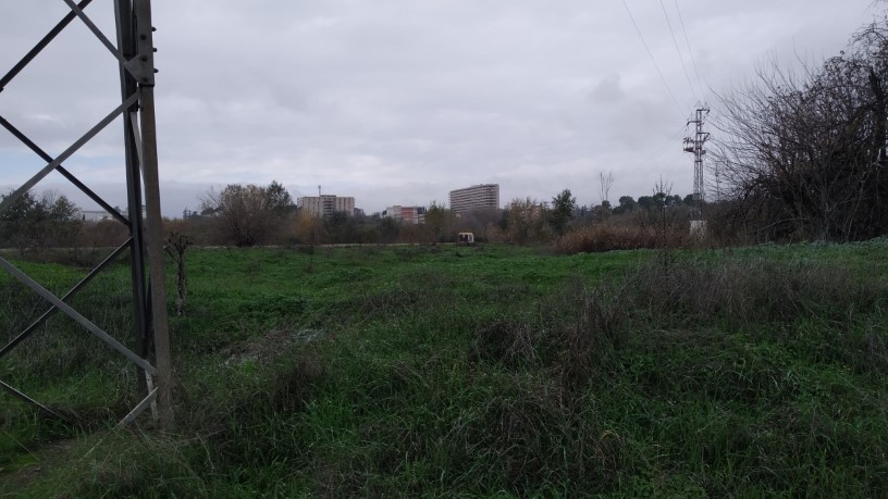 Developable land for sale in sect Plan Parcial S-1 Cordel de Ecija