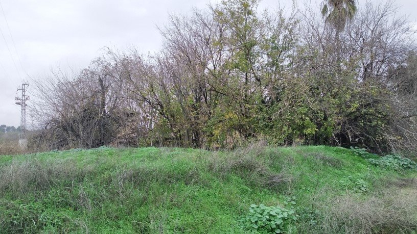 Developable land for sale in sect Plan Parcial S-1 Cordel de Ecija