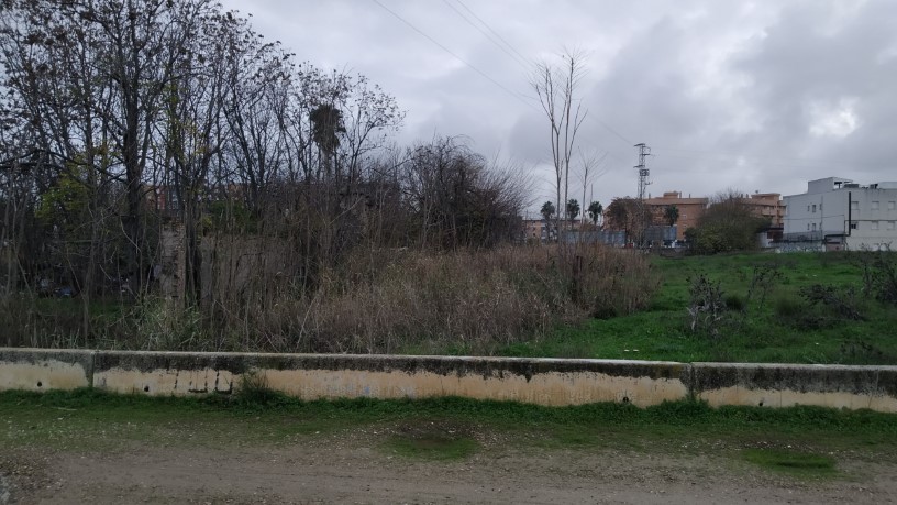 Developable land for sale in sect Plan Parcial S-1 Cordel de Ecija