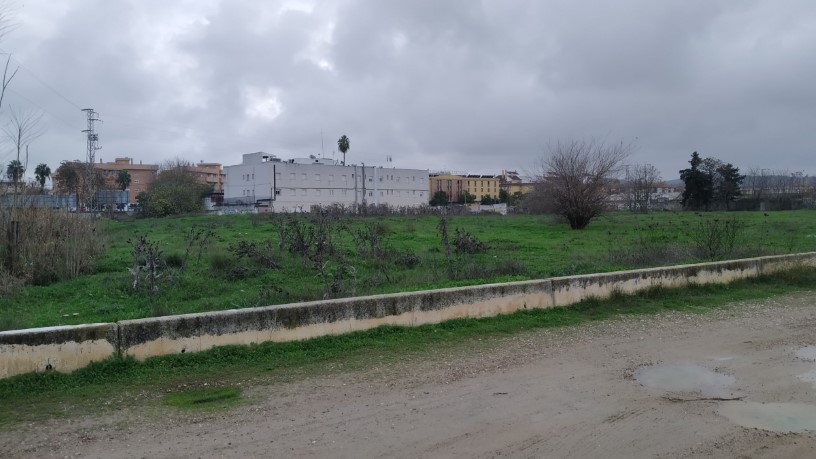 Developable land for sale in sect Plan Parcial S-1 Cordel de Ecija