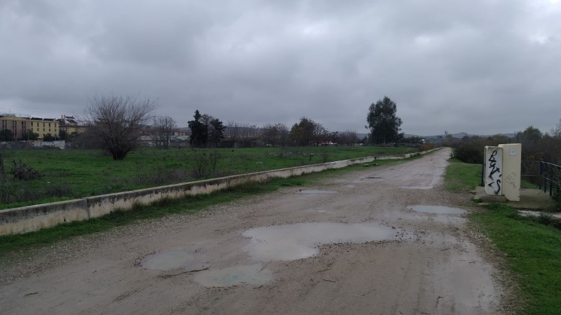 Developable land for sale in sect Plan Parcial S-1 Cordel de Ecija