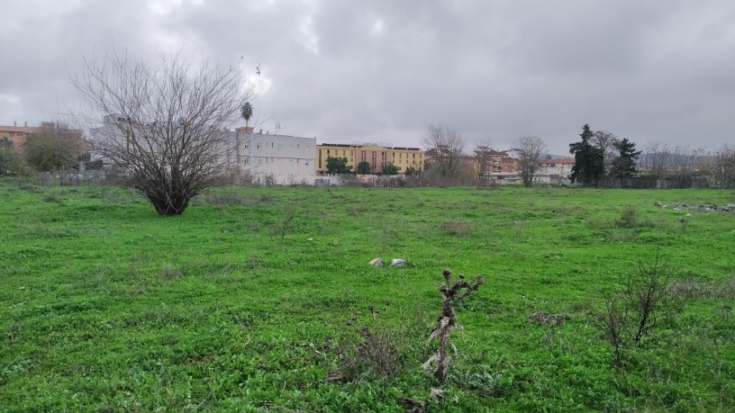 Developable land for sale in sect Plan Parcial S-1 Cordel de Ecija