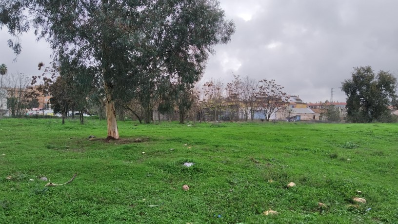 Developable land for sale in sect Plan Parcial S-1 Cordel de Ecija
