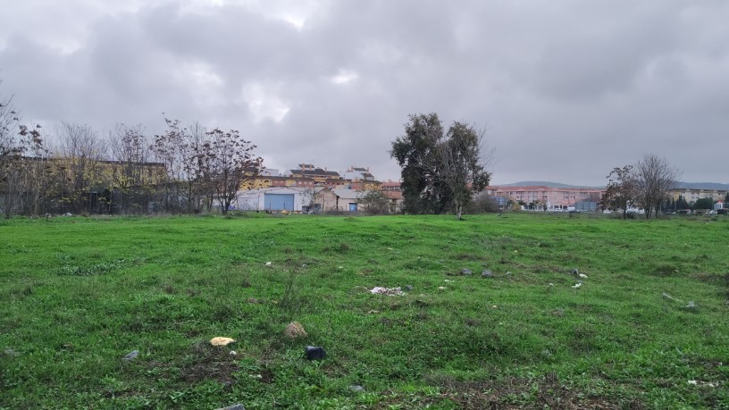 Developable land for sale in sect Plan Parcial S-1 Cordel de Ecija