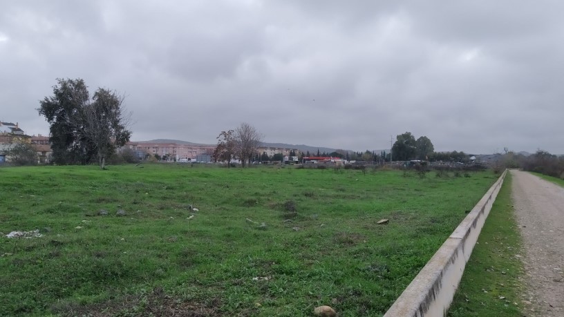 Developable land for sale in sect Plan Parcial S-1 Cordel de Ecija