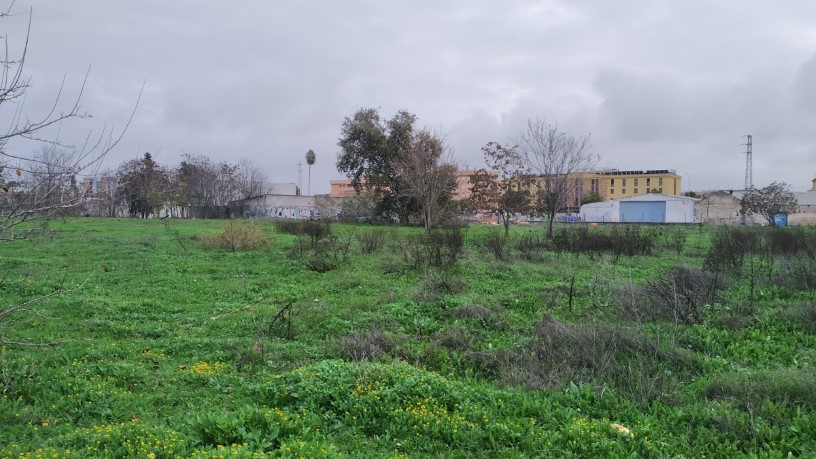 Developable land for sale in sect Plan Parcial S-1 Cordel de Ecija