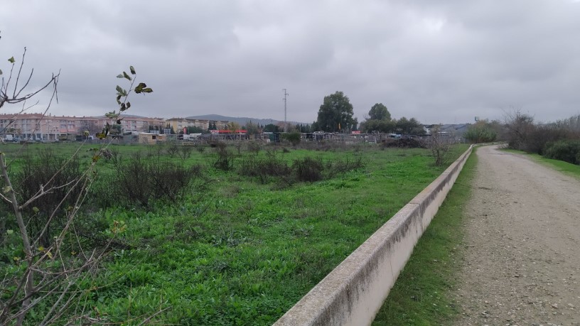 Developable land for sale in sect Plan Parcial S-1 Cordel de Ecija